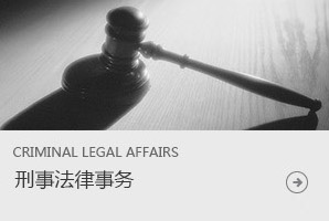 刑事法律事務(wù)